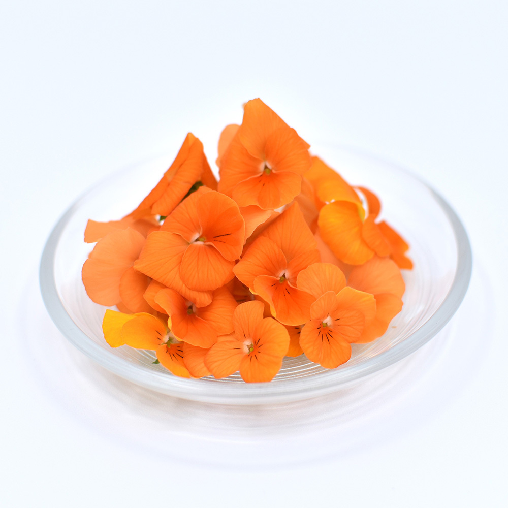 ビオラ　オレンジ