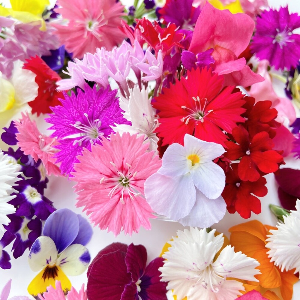 エディブルフラワー ミックス