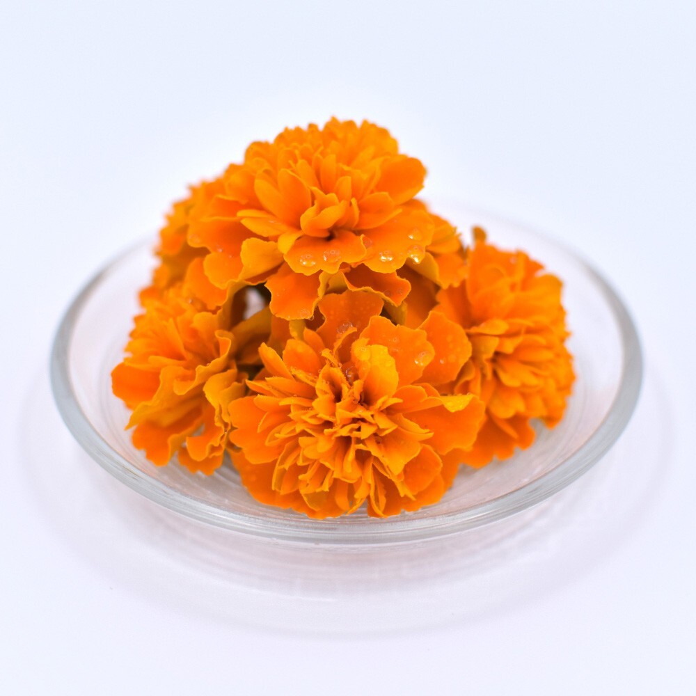 マリーゴールド　オレンジ