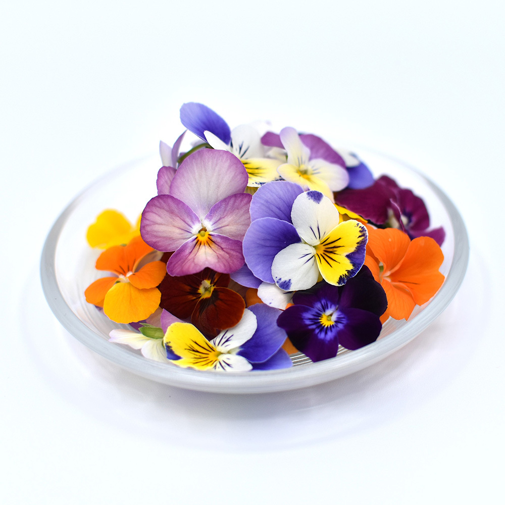 ビオラ　ミックス