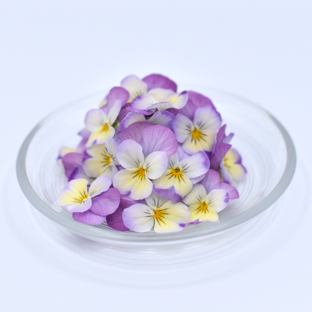 ビオラ　ライトパープル