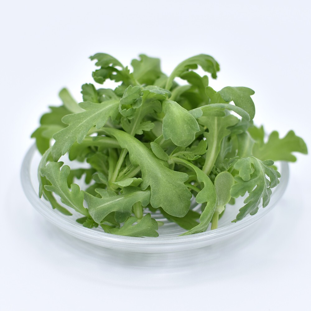 ミニリーフ　シュンギク